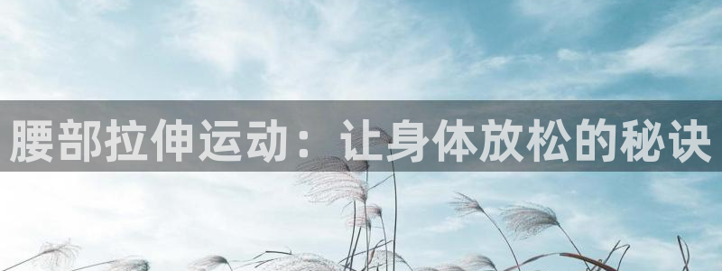 fb体育开户：腰部拉伸运动：让身体放松的秘诀