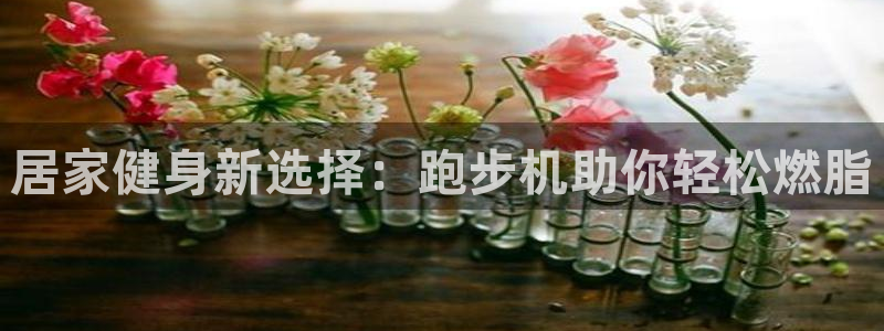 fb体育招商电话地址查询：居家健身新选择：跑步机助你轻松燃脂