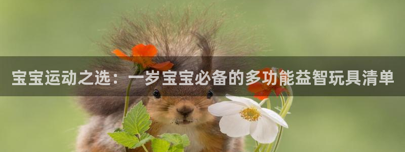 fb集团官网：宝宝运动之选：一岁宝宝必备的多功能益智