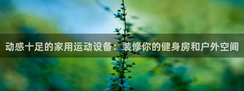 fb体育神州：动感十足的家用运动设备：装修你的健身房