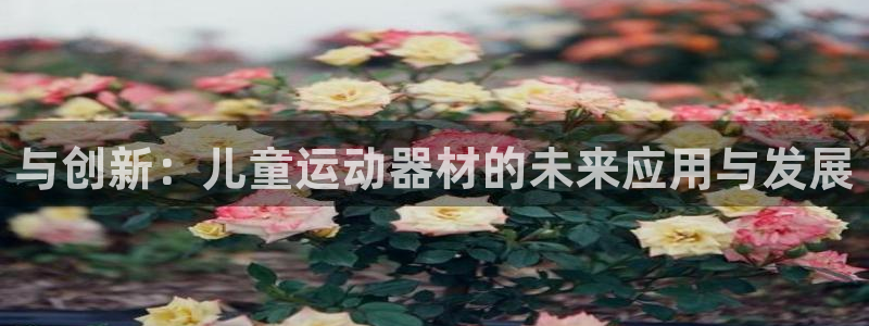 fb体育集团官网首页网址：与创新：儿童运动器材的未来应用与发