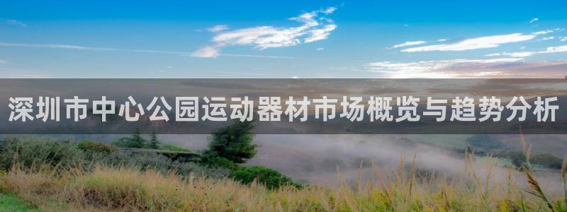 fb体育招商电话是多少：深圳市中心公园运动器材市场概览与趋势