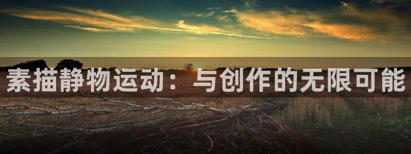 fb体育娱乐平台：素描静物运动：与创作的无限可能