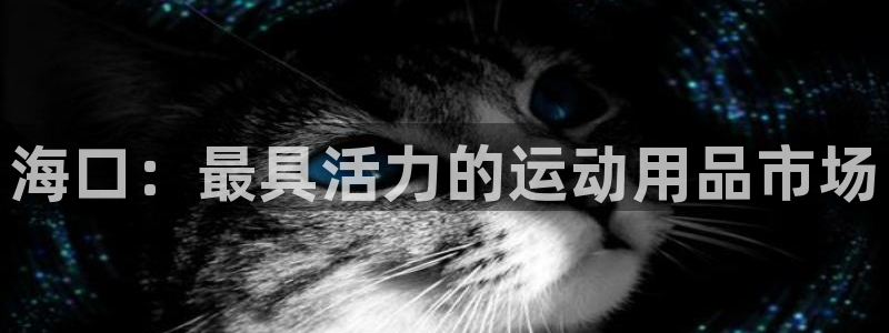 fb体育招商电话地址：海口：最具活力的运动用品市场