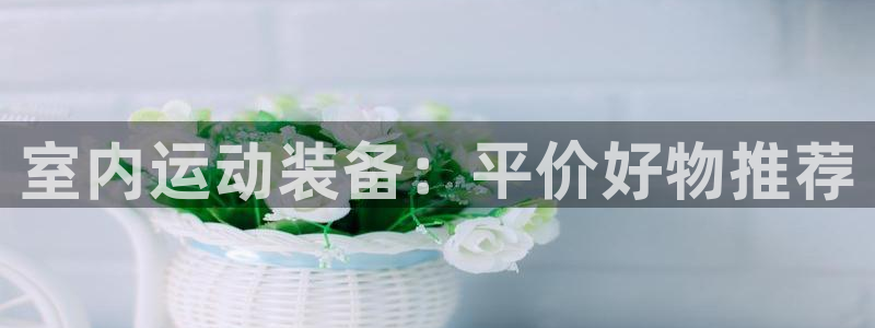 fb体育招商：室内运动装备：平价好物推荐