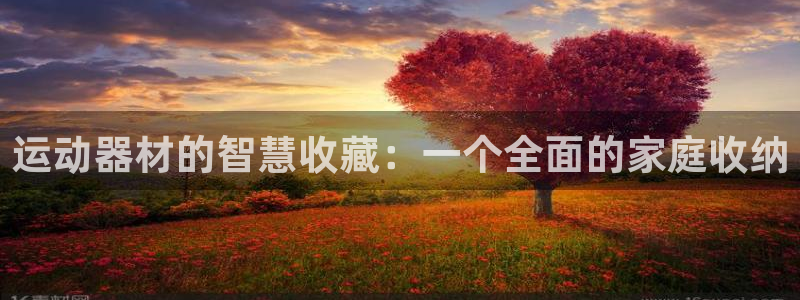 fb体育招商电话号码查询是多少：运动器材的智慧收藏：