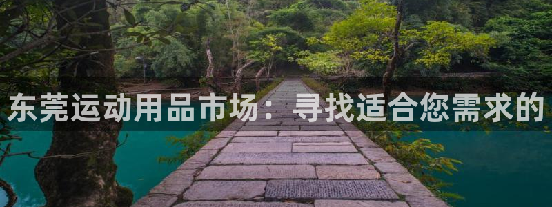 fb体育招商电话地址查询：东莞运动用品市场：寻找适合您需求的