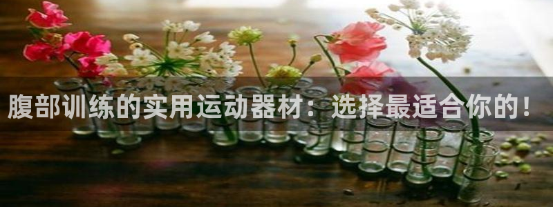 fb体育招商电话：腹部训练的实用运动器材：选择最适合你的！