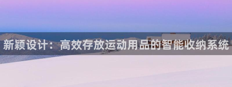 fb体育开户：新颖设计：高效存放运动用品的智能收纳系