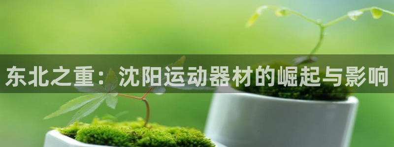 fb体育娱乐首页官网下载：东北之重：沈阳运动器材的崛起与影响