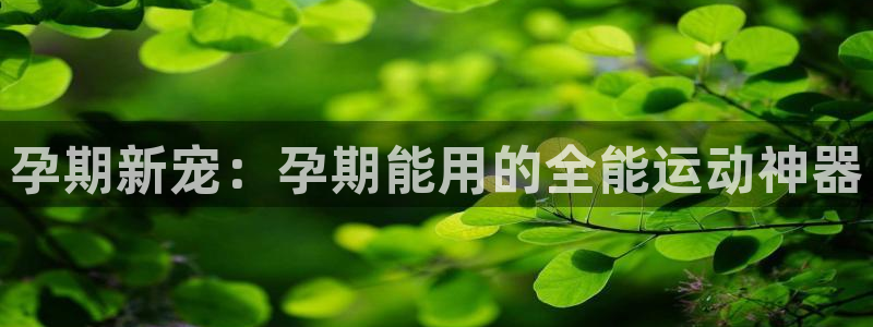 fb体育娱乐下载：孕期新宠：孕期能用的全能运动神器