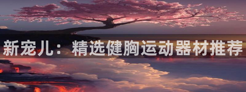 fb体育集团官网网址：新宠儿：精选健胸运动器材推荐