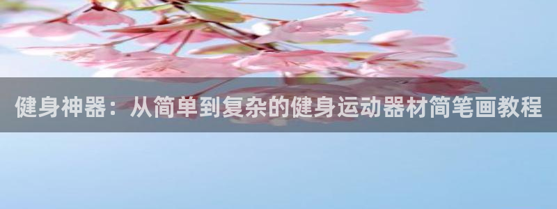 fb体育集团E.ON：健身神器：从简单到复杂的健身运
