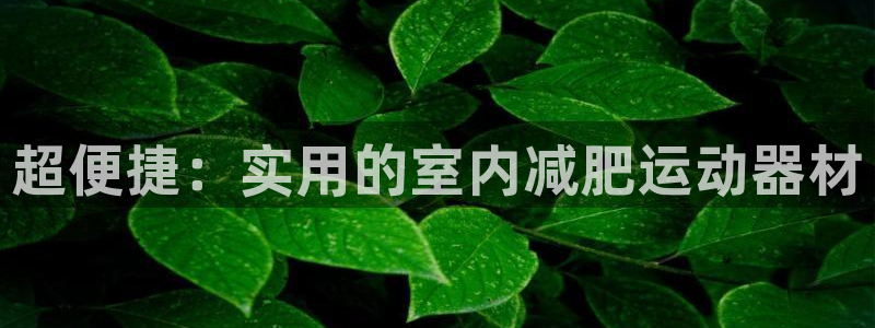 fb体育集团官网网址：超便捷：实用的室内减肥运动器材